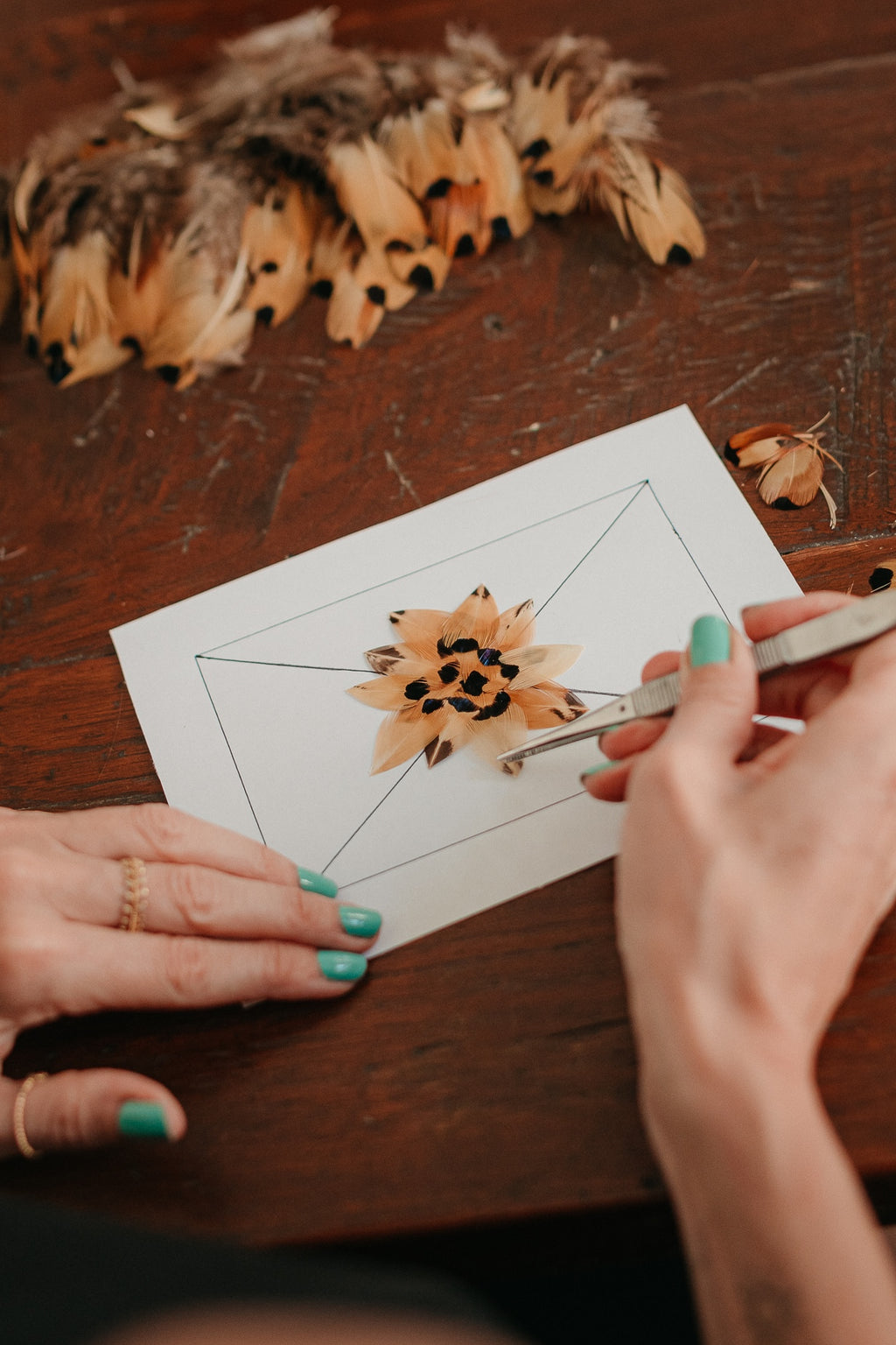 Atelier tableau en plume - Samedi 21 novembre à 15h00