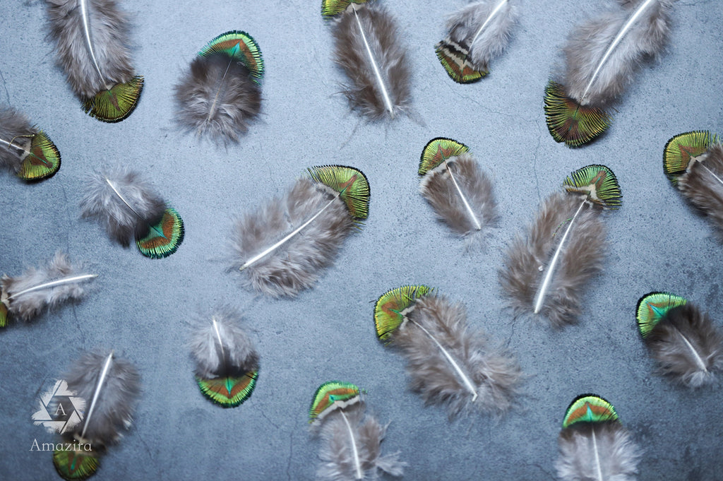 Mini Peacock feathers 1-3 inches, 2-5 cm