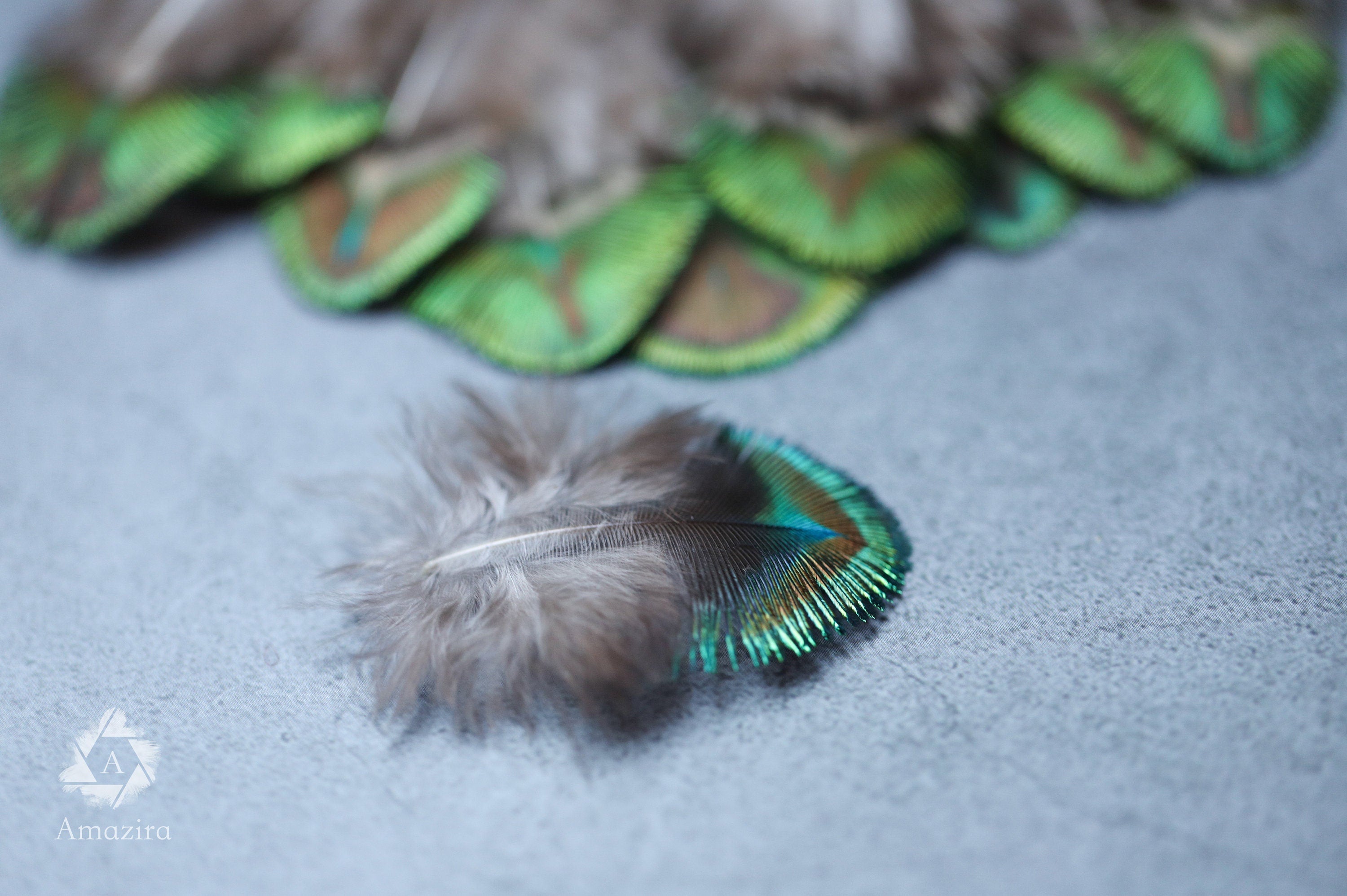 Mini Peacock feathers 1-3 inches, 2-5 cm