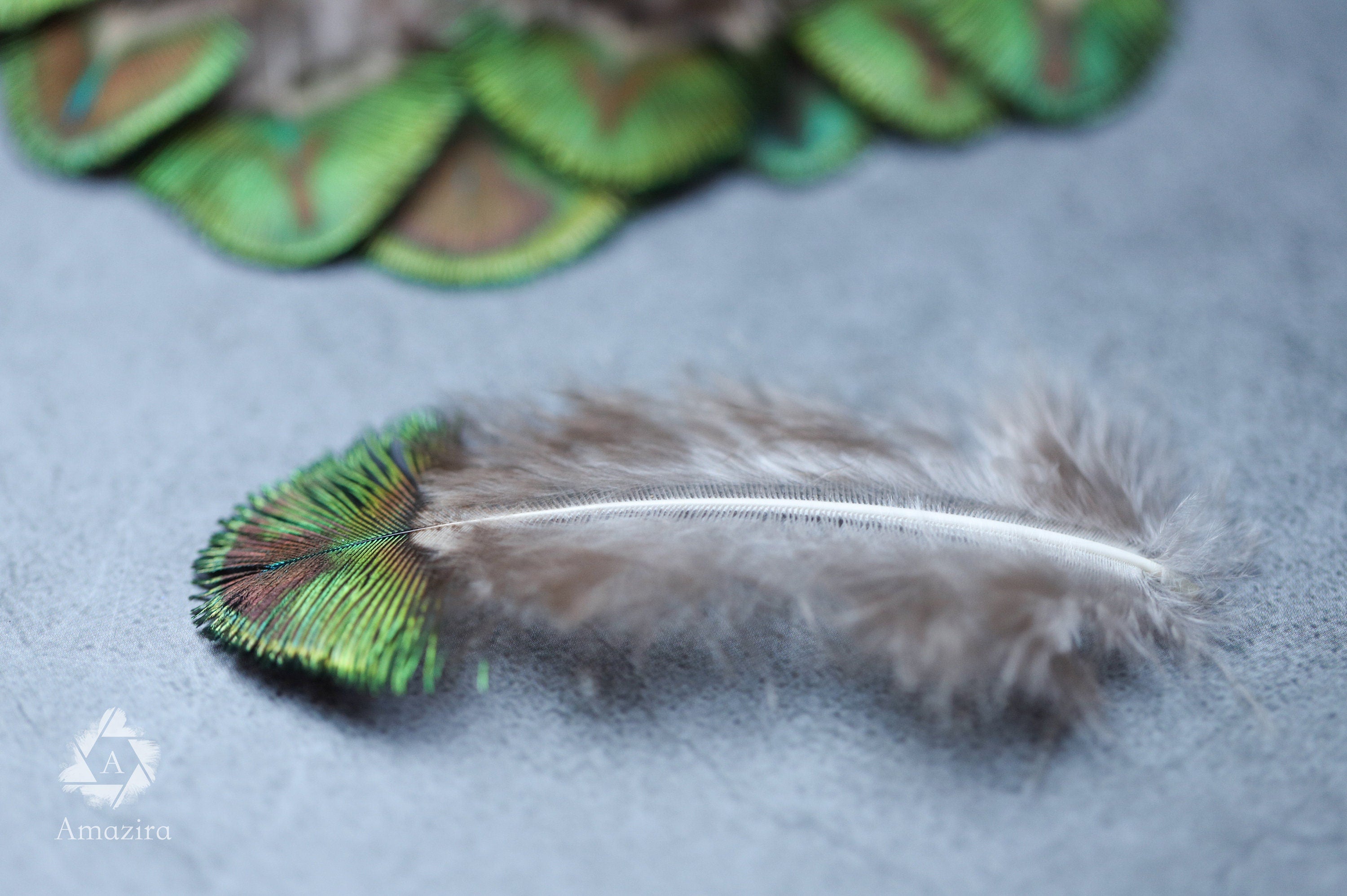 Mini Peacock feathers 1-3 inches, 2-5 cm