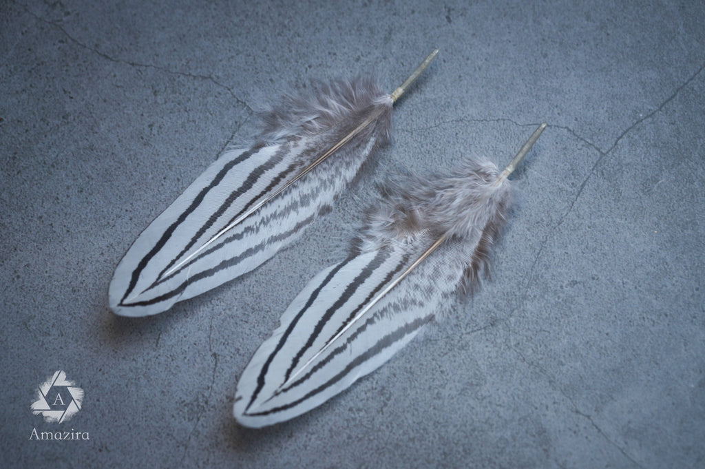 Plumes de faisan zébrées blanches et noires, 2-4 pouces, 5-10 cm