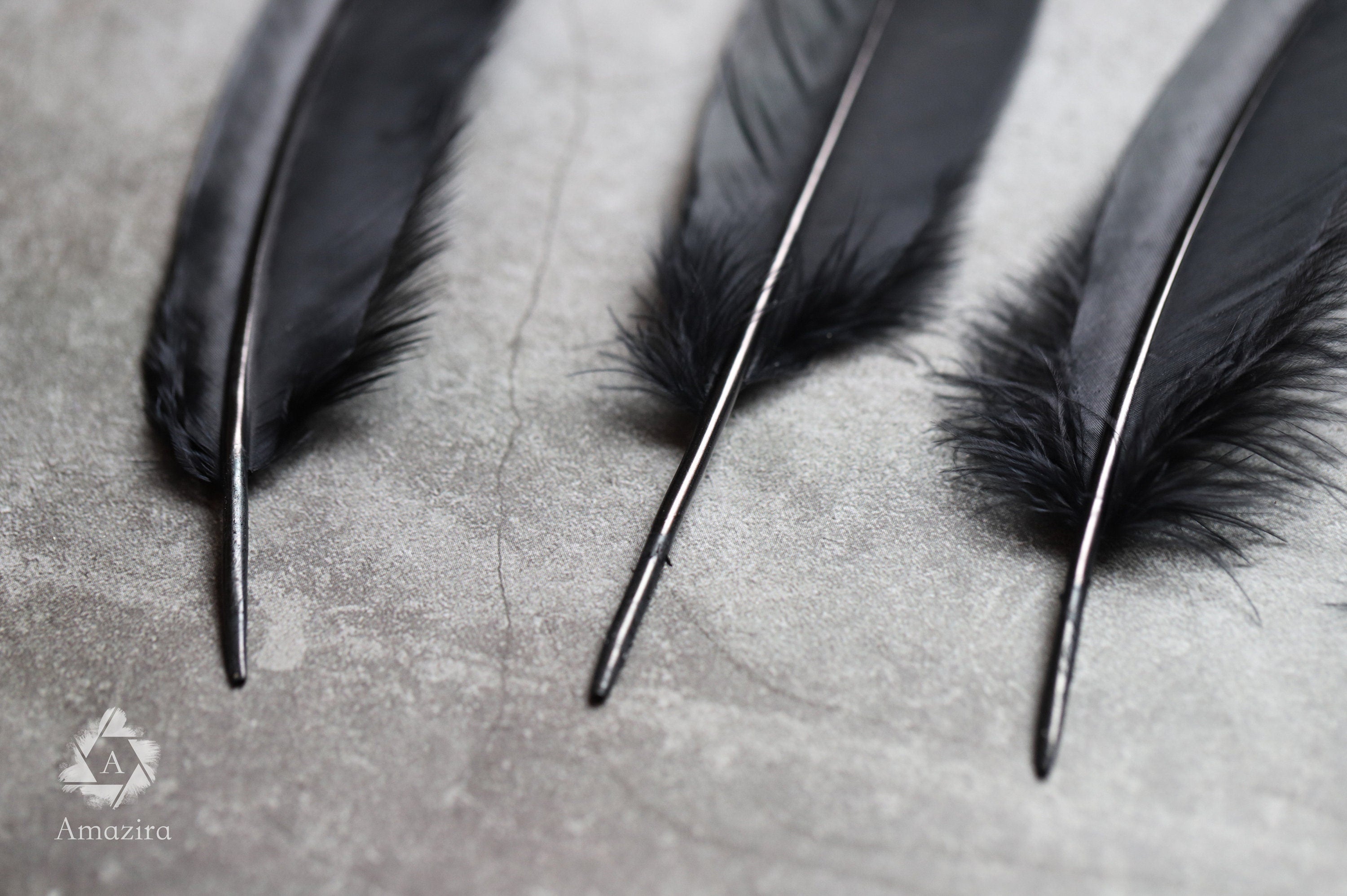 Large black feathers, 6 -7 inches