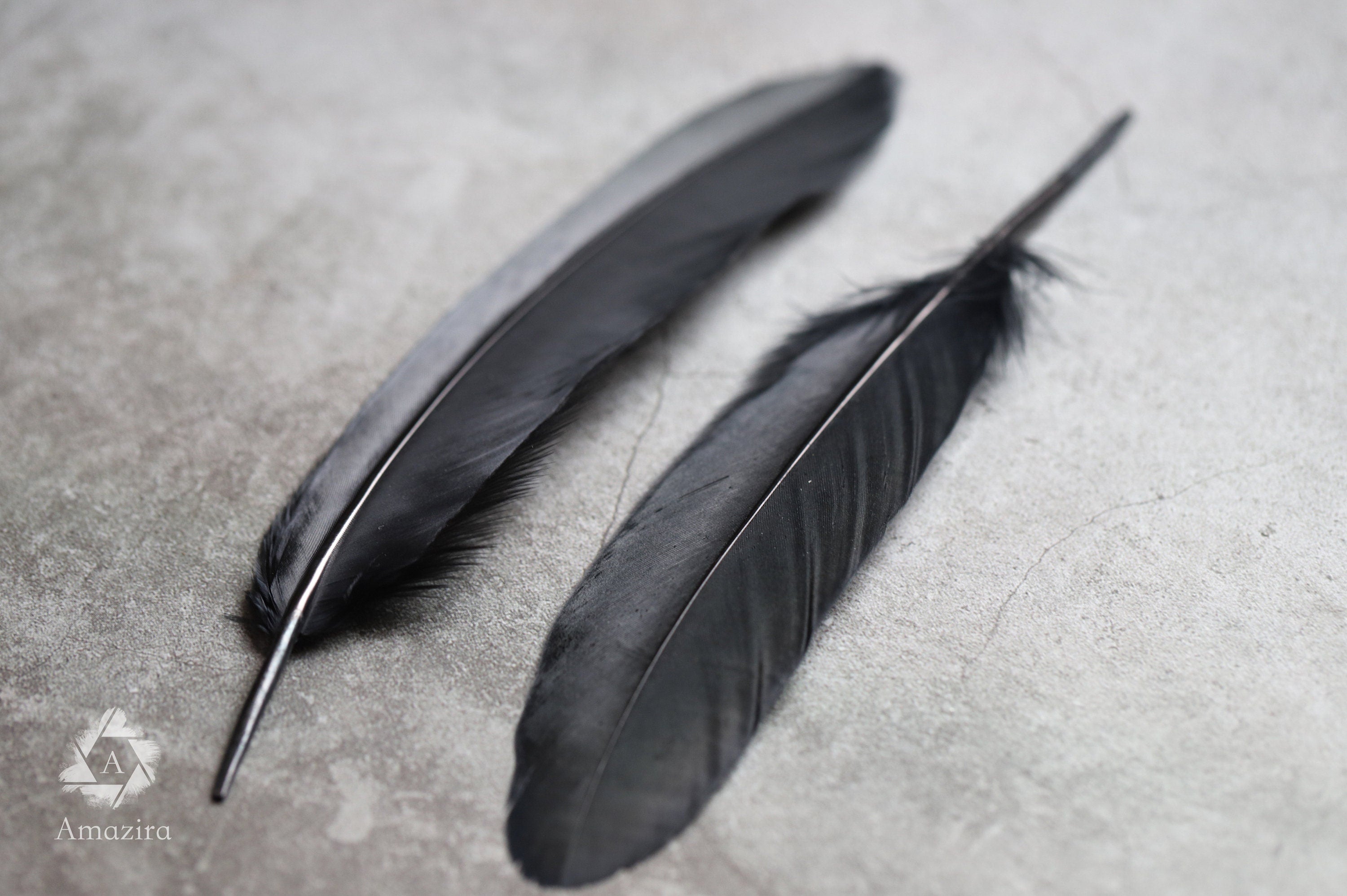 Large black feathers, 6 -7 inches