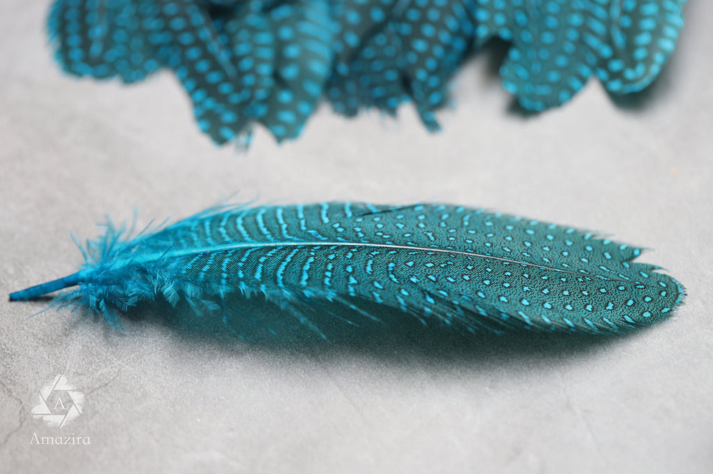 10 PACK CLEARANCE!  Unique Large Dyed Blue dot Guinea fowl Feathers, 6-8 inches, Real loose colourful turquoise feathers for crafters