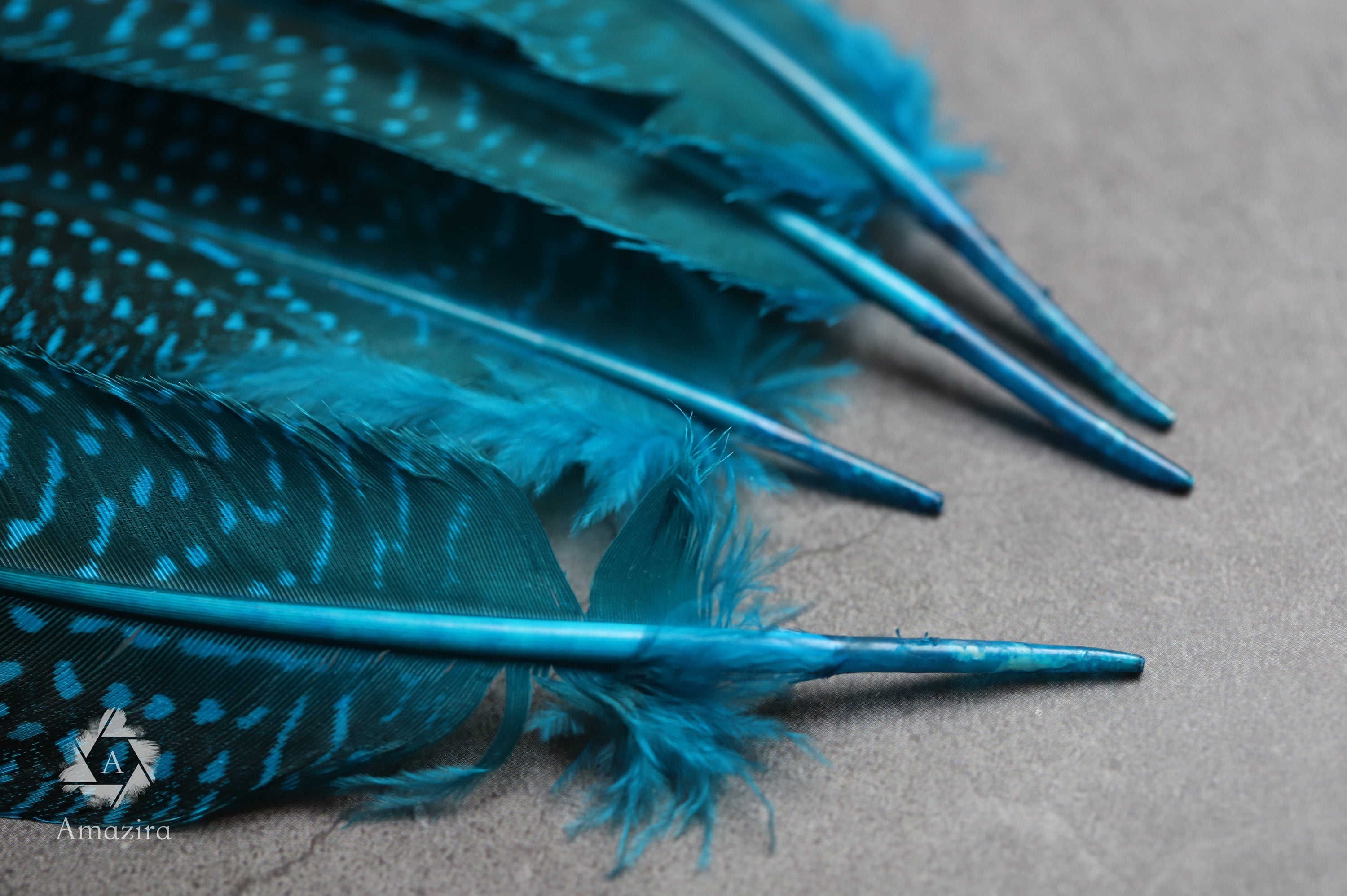 10 PACK CLEARANCE!  Unique Large Dyed Blue dot Guinea fowl Feathers, 6-8 inches, Real loose colourful turquoise feathers for crafters