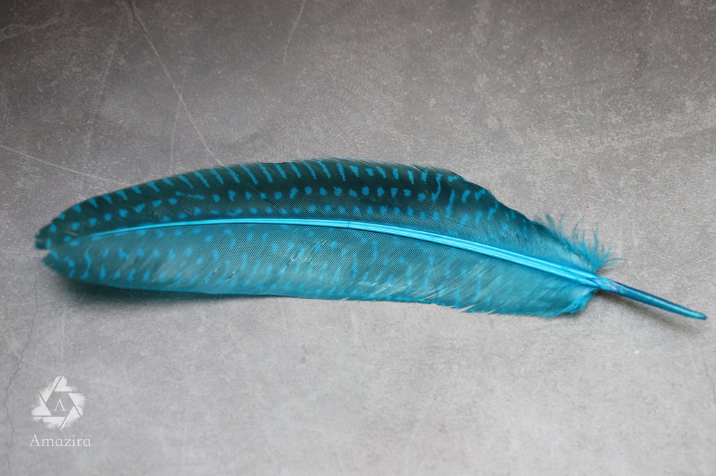 10 PACK CLEARANCE!  Unique Large Dyed Blue dot Guinea fowl Feathers, 6-8 inches, Real loose colourful turquoise feathers for crafters