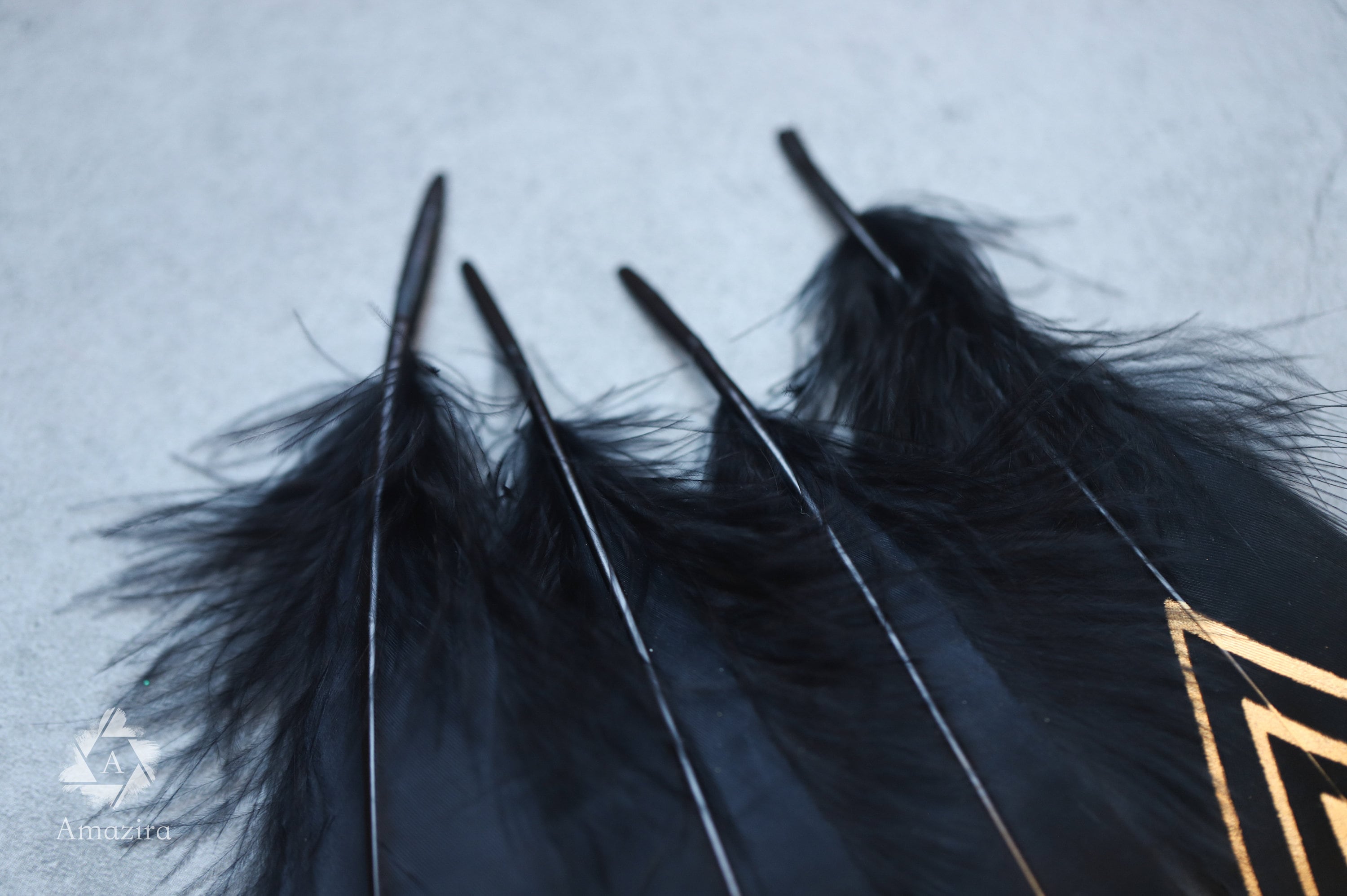 Gold painted pattern black feather, 15-20 cm, 6-8 inches