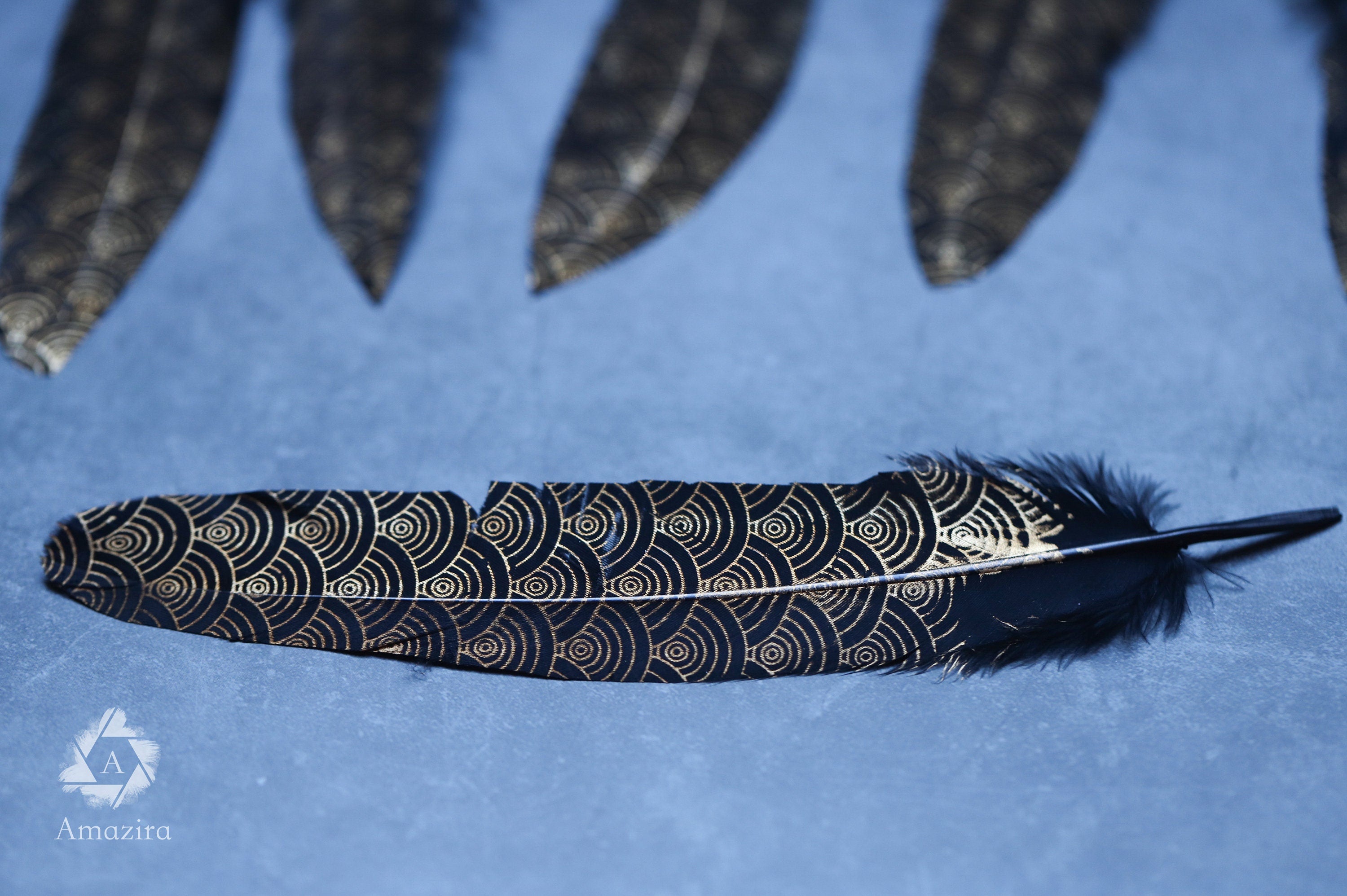 Gold painted pattern black feathers, 17-20 cm, 6-8 inches