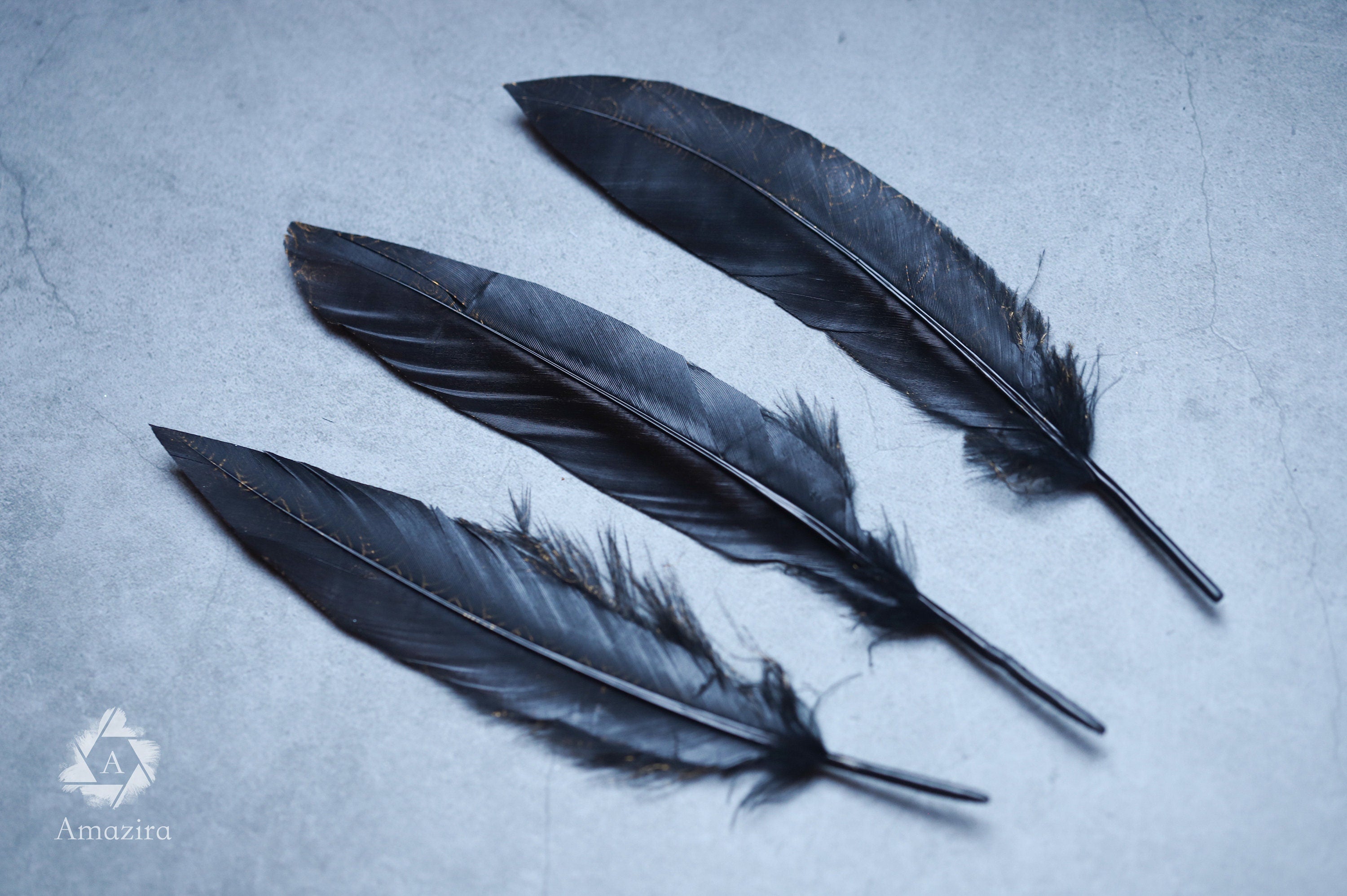 Gold painted pattern black feathers, 17-20 cm, 6-8 inches