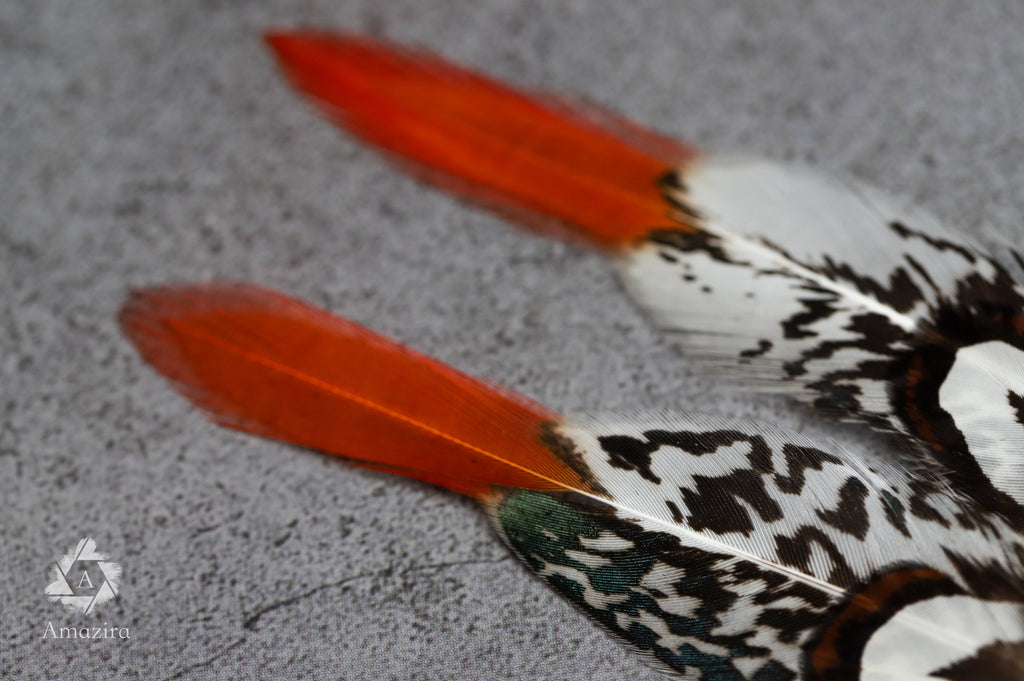 Red tip feather earrings
