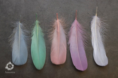 100 FEATHERS! CLEARANCE Last Chance! Baby colour feathers, Nagori goose feathers, Unicorn, 7-12 CM , 3-5 inches, blue, pink, purple, white