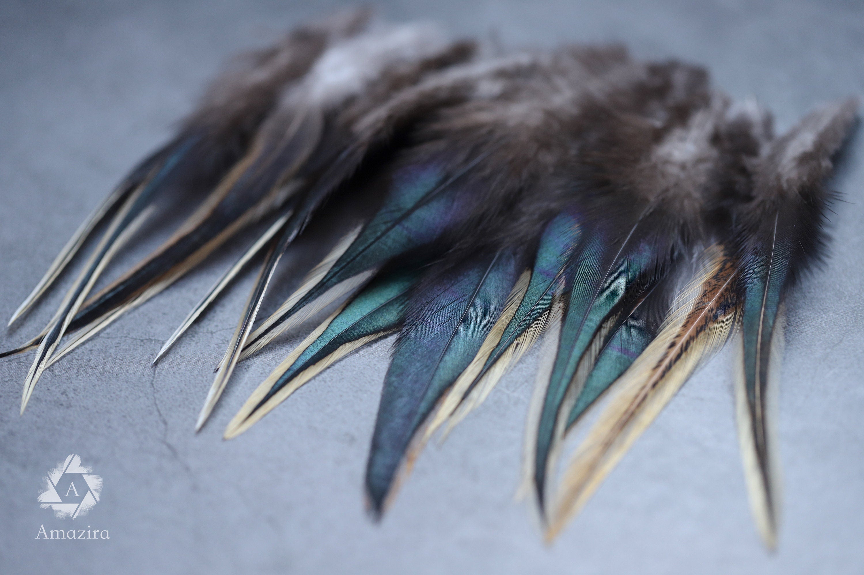 Black and gold tail rooster feathers 8-10 cm 3-4 inches