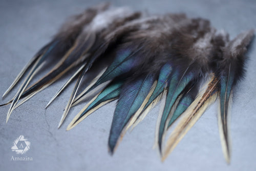 Black and gold tail rooster feathers 8-10 cm 3-4 inches