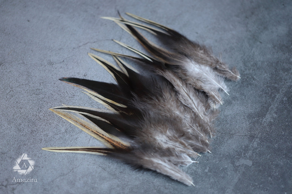 Black and gold tail rooster feathers 8-10 cm 3-4 inches