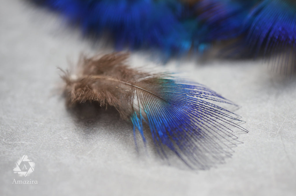Natural Blue Iridescent Pheasant feathers,