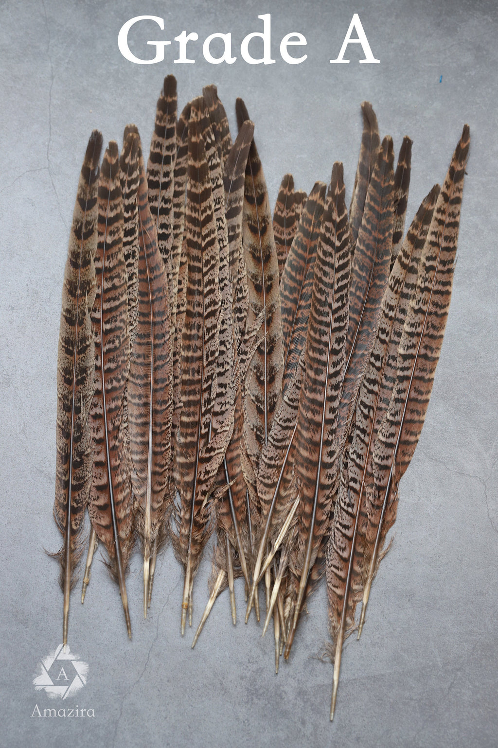 Long brown striped pheasant feathers, 18 to 20 cm, 7-8 inches