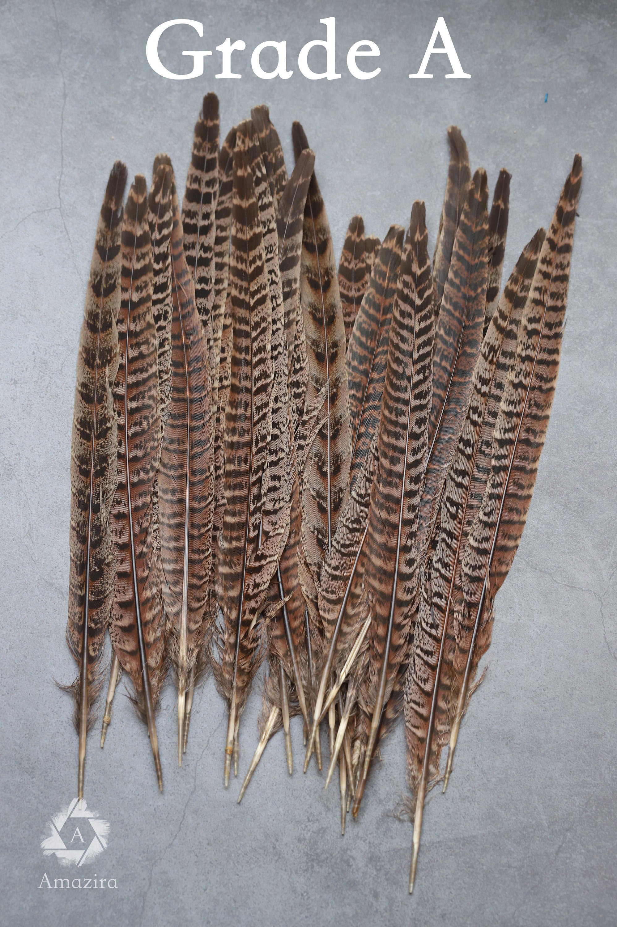 Long brown striped pheasant feathers, 18 to 20 cm, 7-8 inches