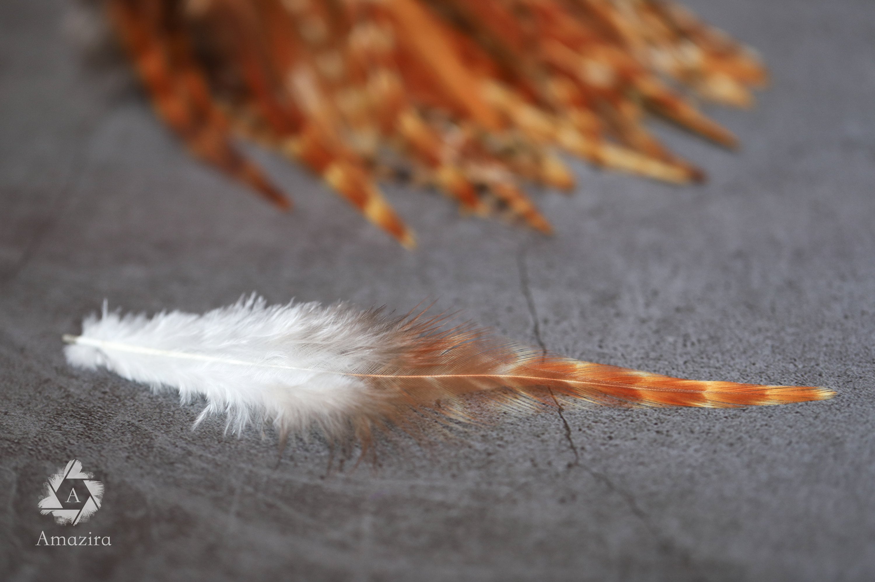 Natural ginger grizzly bulk feathers 10-12 cm -4'-5'' inches