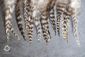 7-12 cm 3-5 inches Natural grizzly bulk feathers