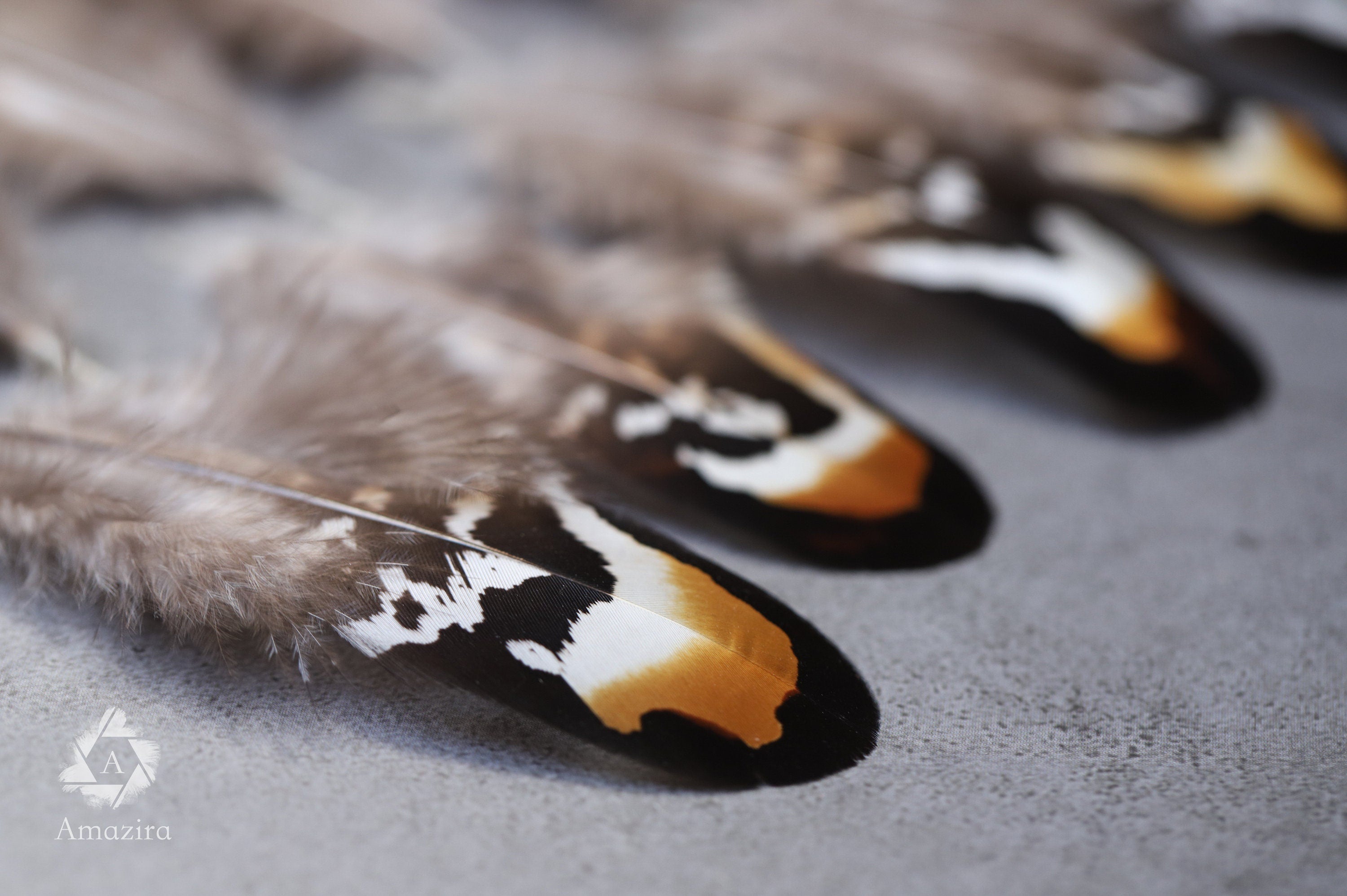 Brown and white stripped Pheasant feathers, 2-3 inches 5-8 cm