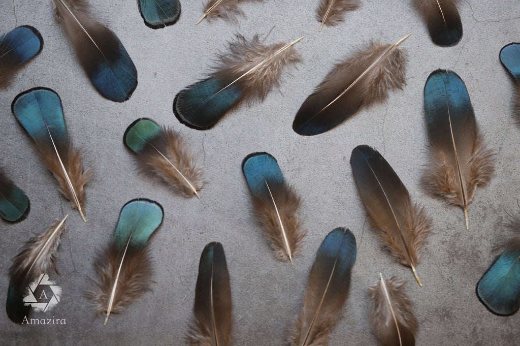 Plumas de faisán iridiscentes azules y verdes naturales