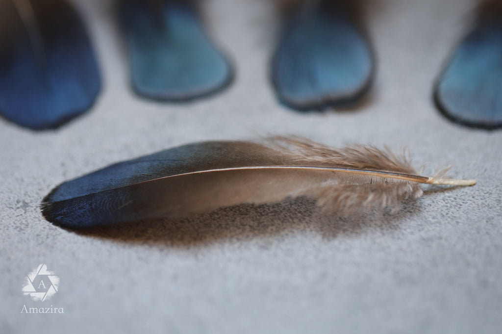 Plumas de faisán iridiscentes azules y verdes naturales