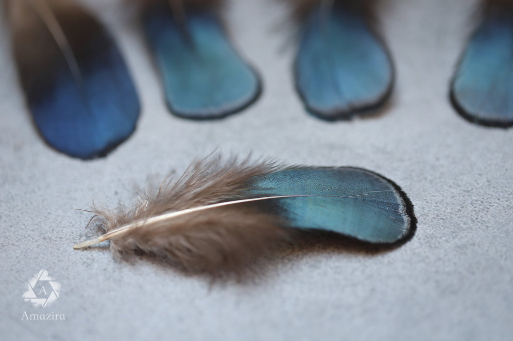 Plumas de faisán iridiscentes azules y verdes naturales