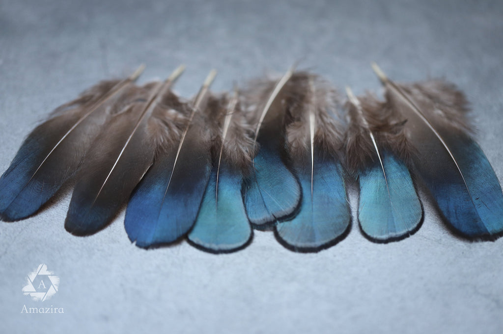 Plumas de faisán iridiscentes azules y verdes naturales