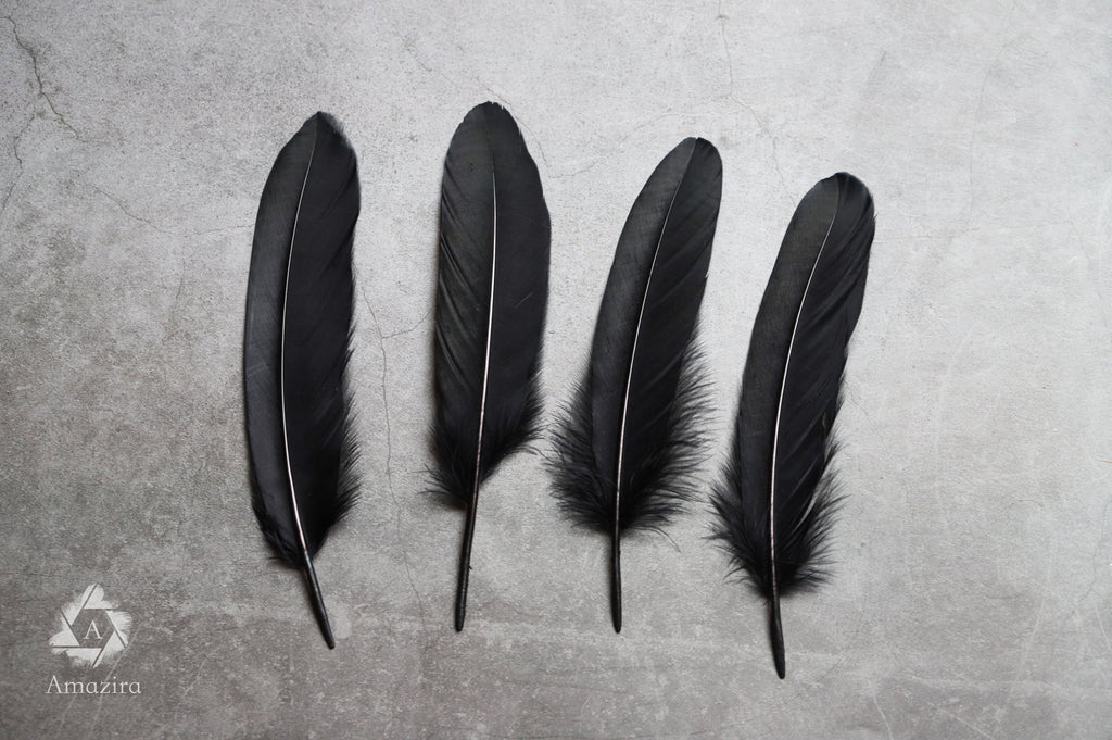 Large black feathers, 6 -7 inches