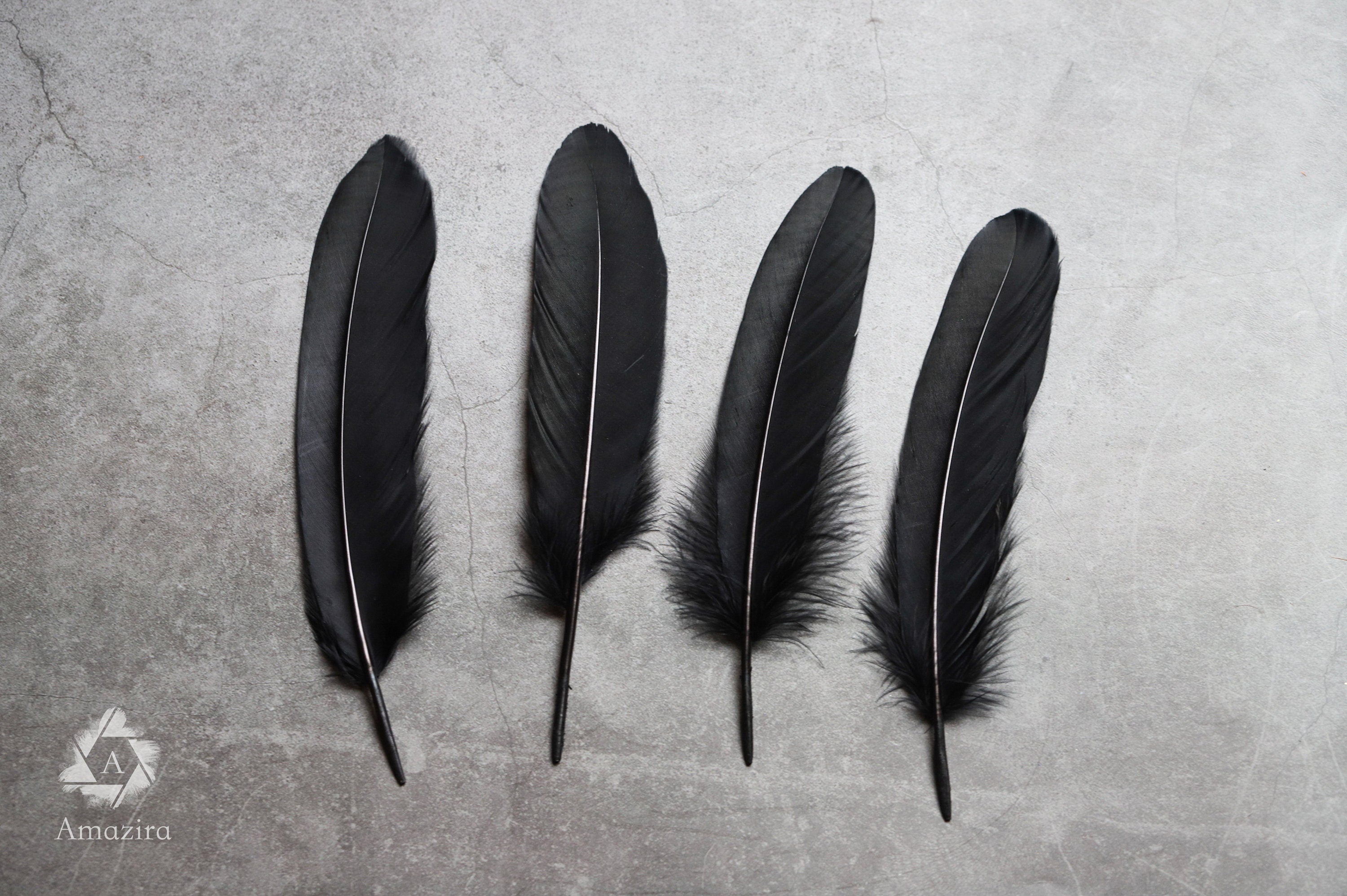 Large black feathers, 6 -7 inches