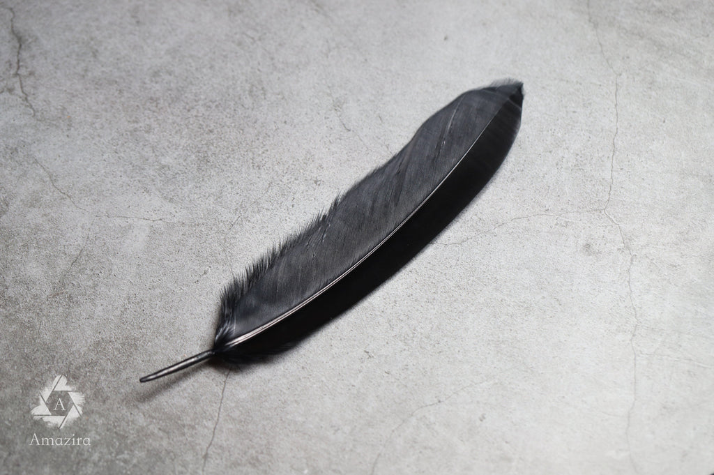 Large black feathers, 6 -7 inches