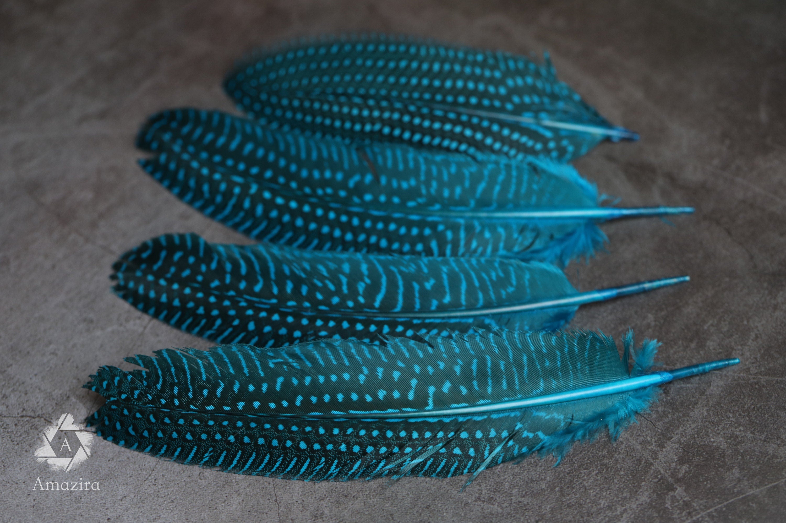 10 PACK CLEARANCE!  Unique Large Dyed Blue dot Guinea fowl Feathers, 6-8 inches, Real loose colourful turquoise feathers for crafters