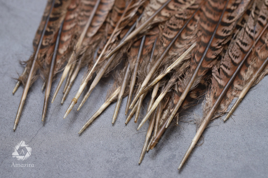 Long brown striped pheasant feathers, 18 to 20 cm, 7-8 inches
