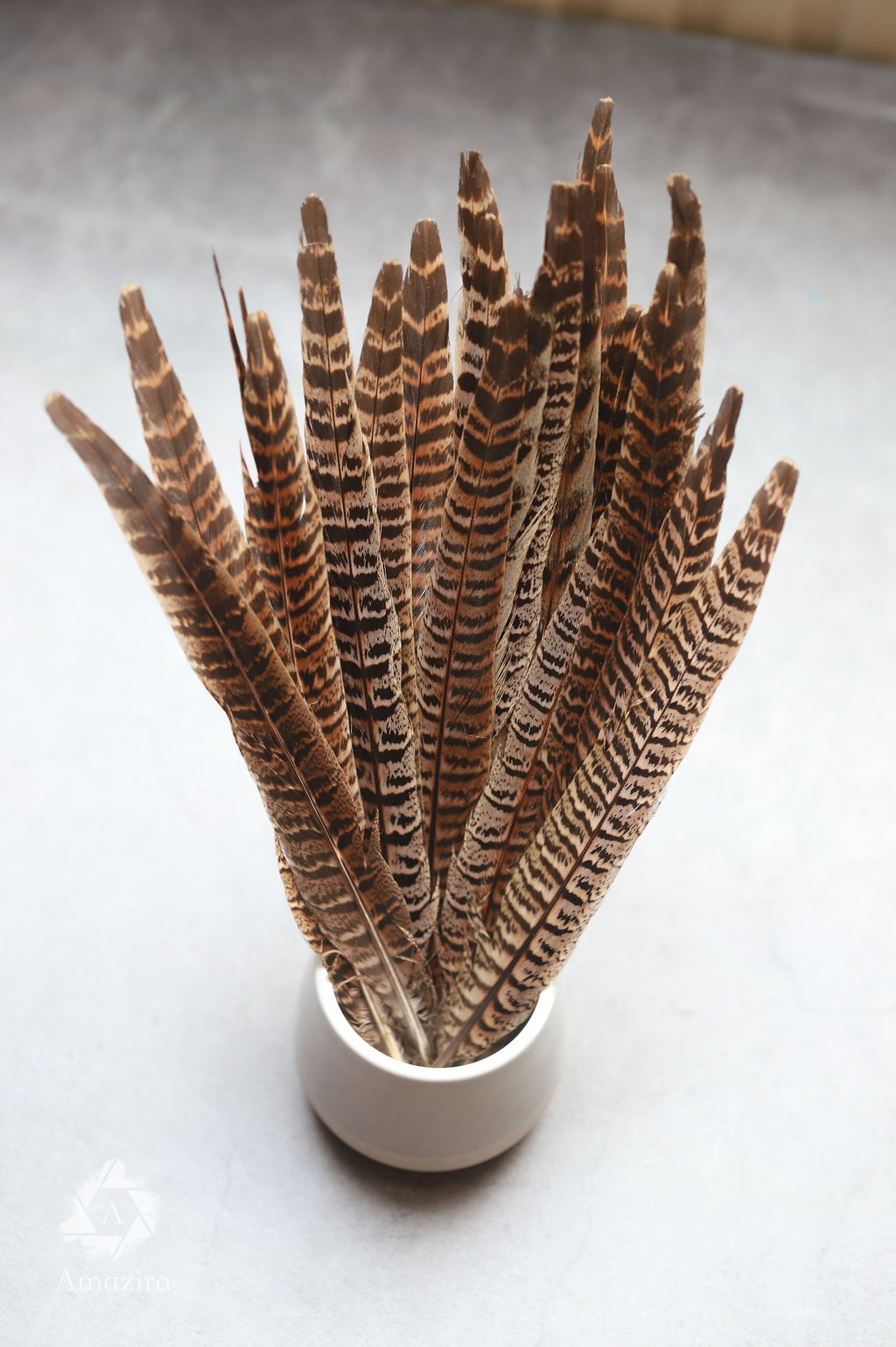 Long brown striped pheasant feathers, 18 to 20 cm, 7-8 inches