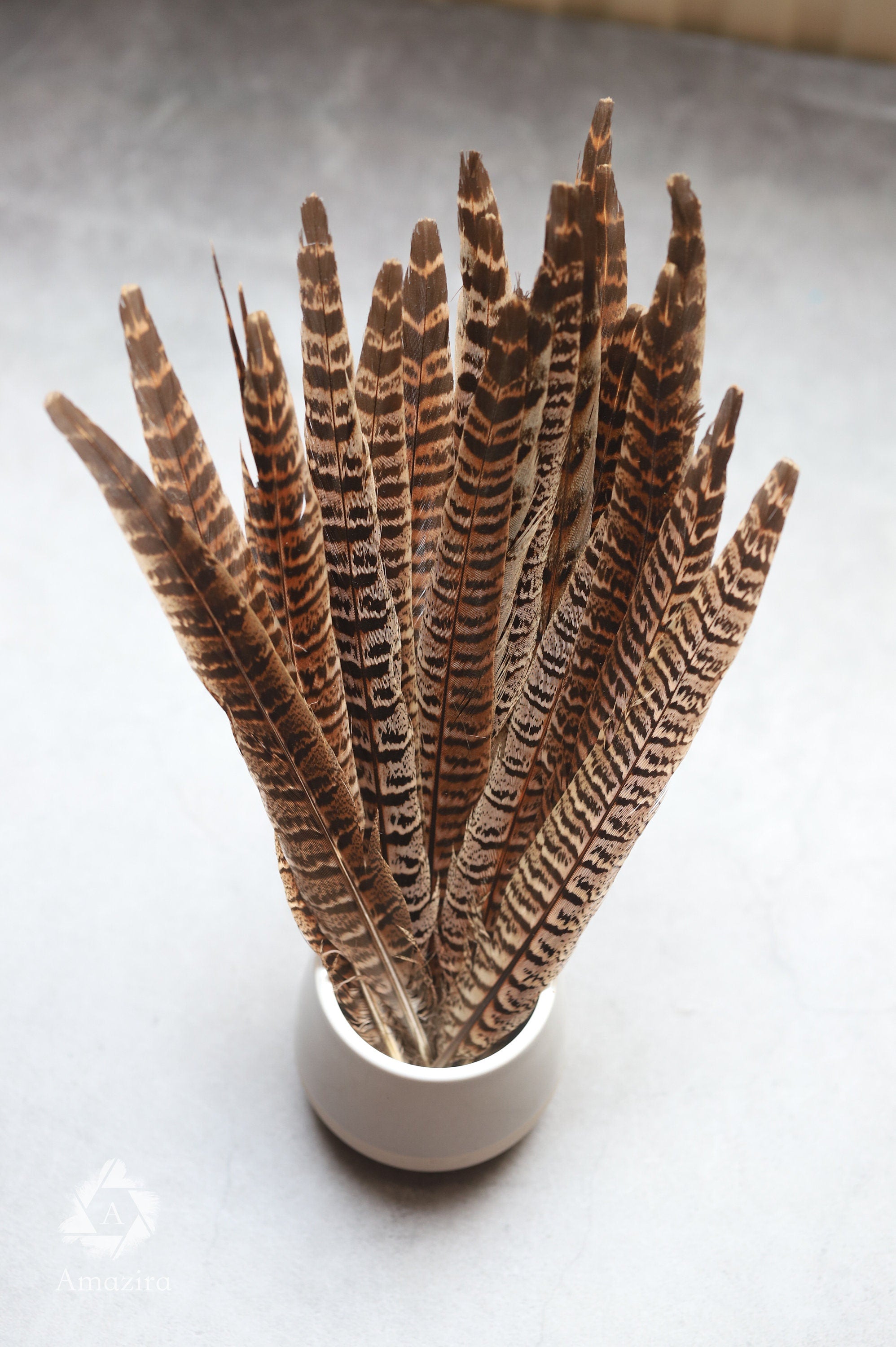 Long brown striped pheasant feathers, 18 to 20 cm, 7-8 inches