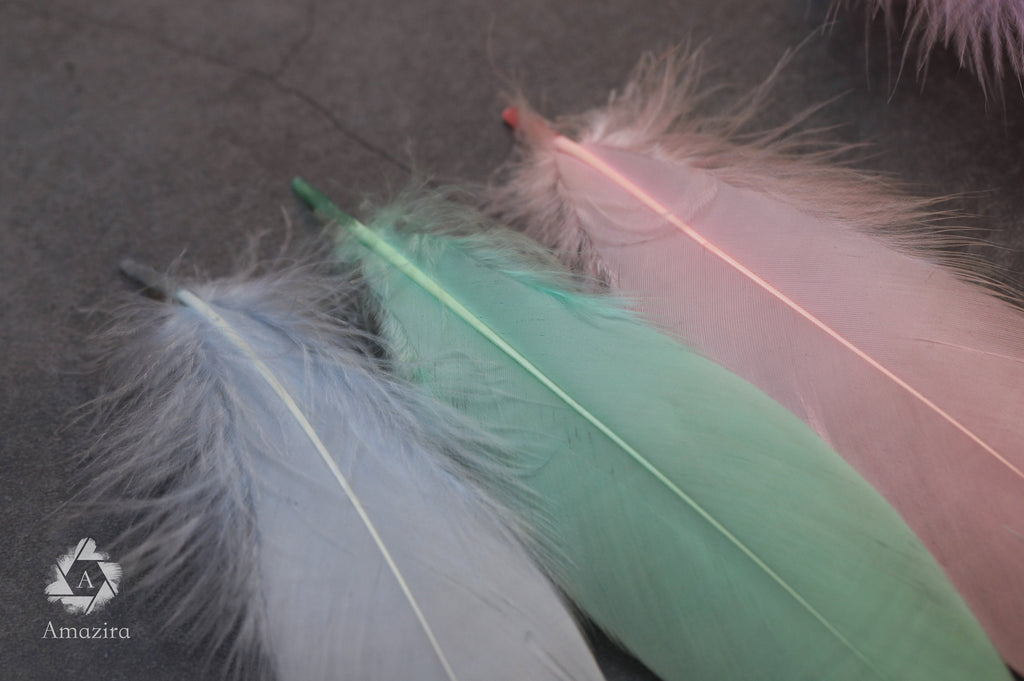100 FEATHERS! CLEARANCE Last Chance! Baby colour feathers, Nagori goose feathers, Unicorn, 7-12 CM , 3-5 inches, blue, pink, purple, white
