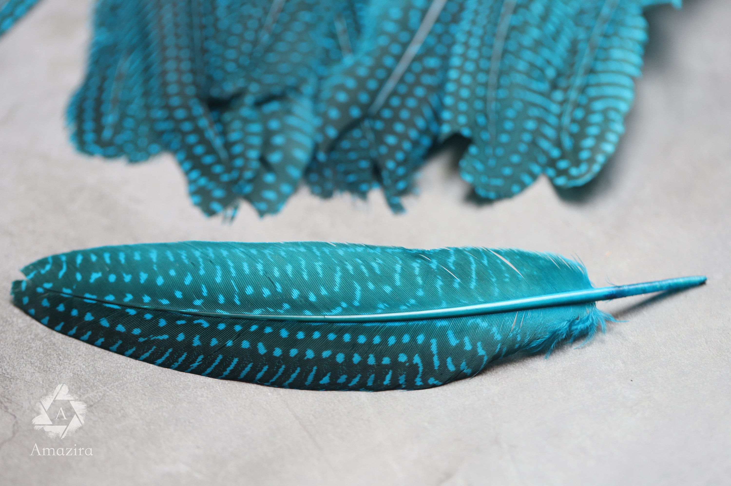 10 PACK CLEARANCE!  Unique Large Dyed Blue dot Guinea fowl Feathers, 6-8 inches, Real loose colourful turquoise feathers for crafters