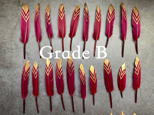 50 Defective gold Hand-Painted feathers, 12 - 15cm