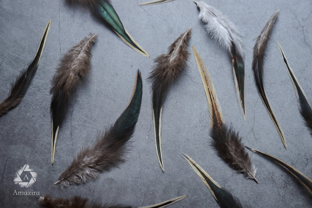 Black and gold tail rooster feathers 8-10 cm 3-4 inches