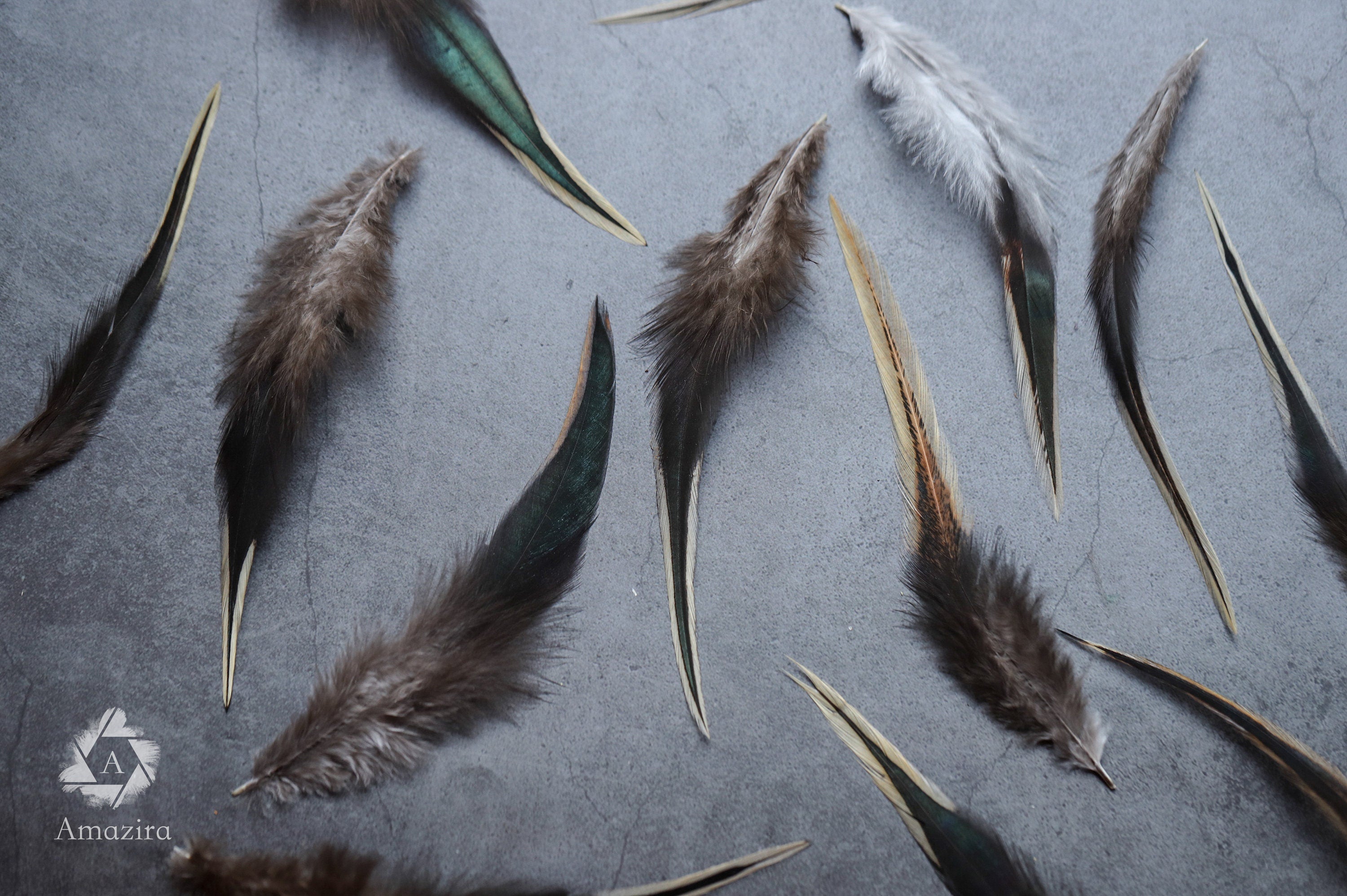 Black and gold tail rooster feathers 8-10 cm 3-4 inches