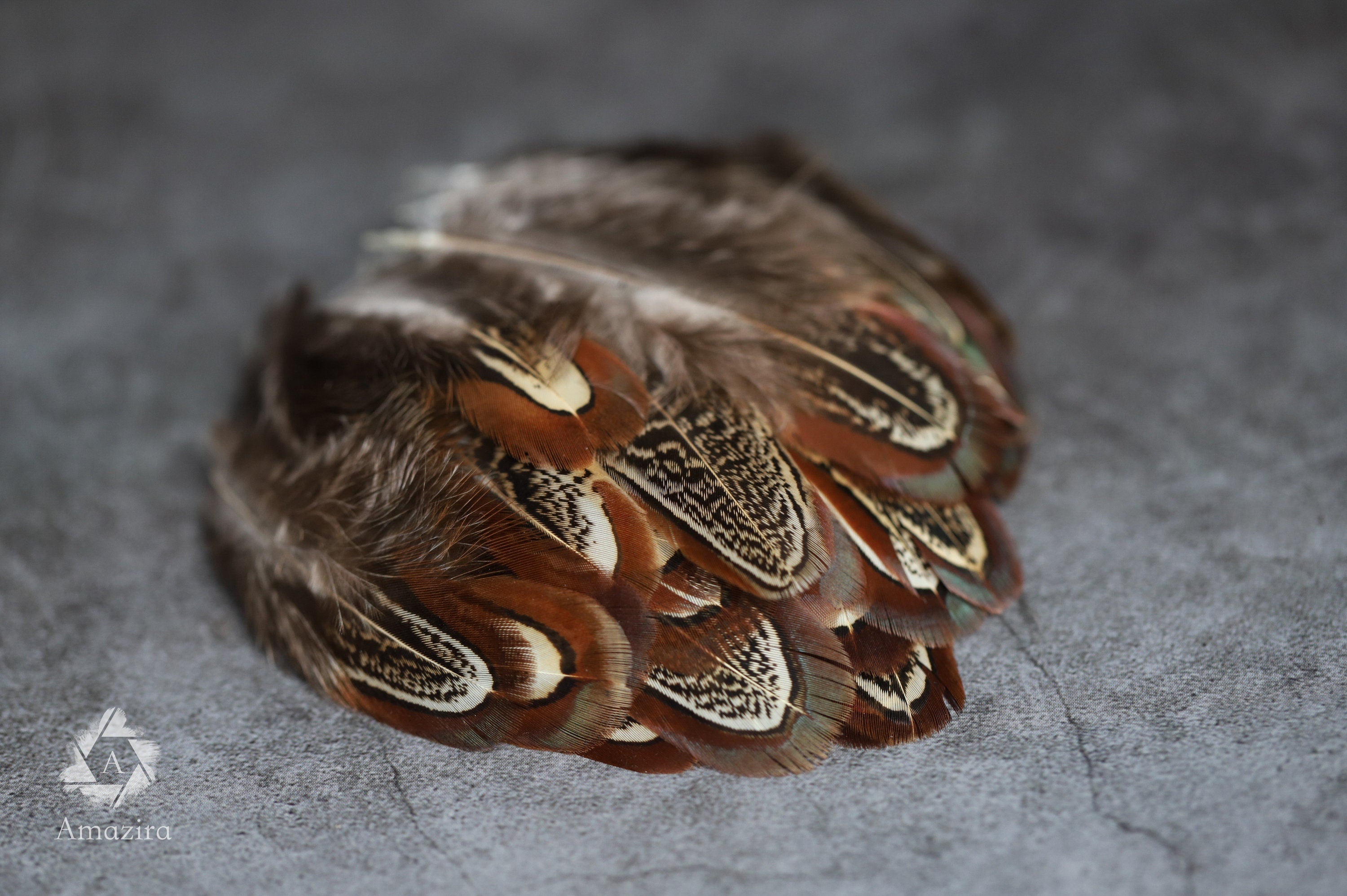 Natural brown stripped Pheasant feathers, 1-2 inches - 4-6 cm