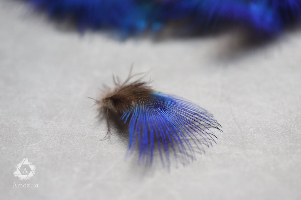 Natural Blue Iridescent Pheasant feathers,