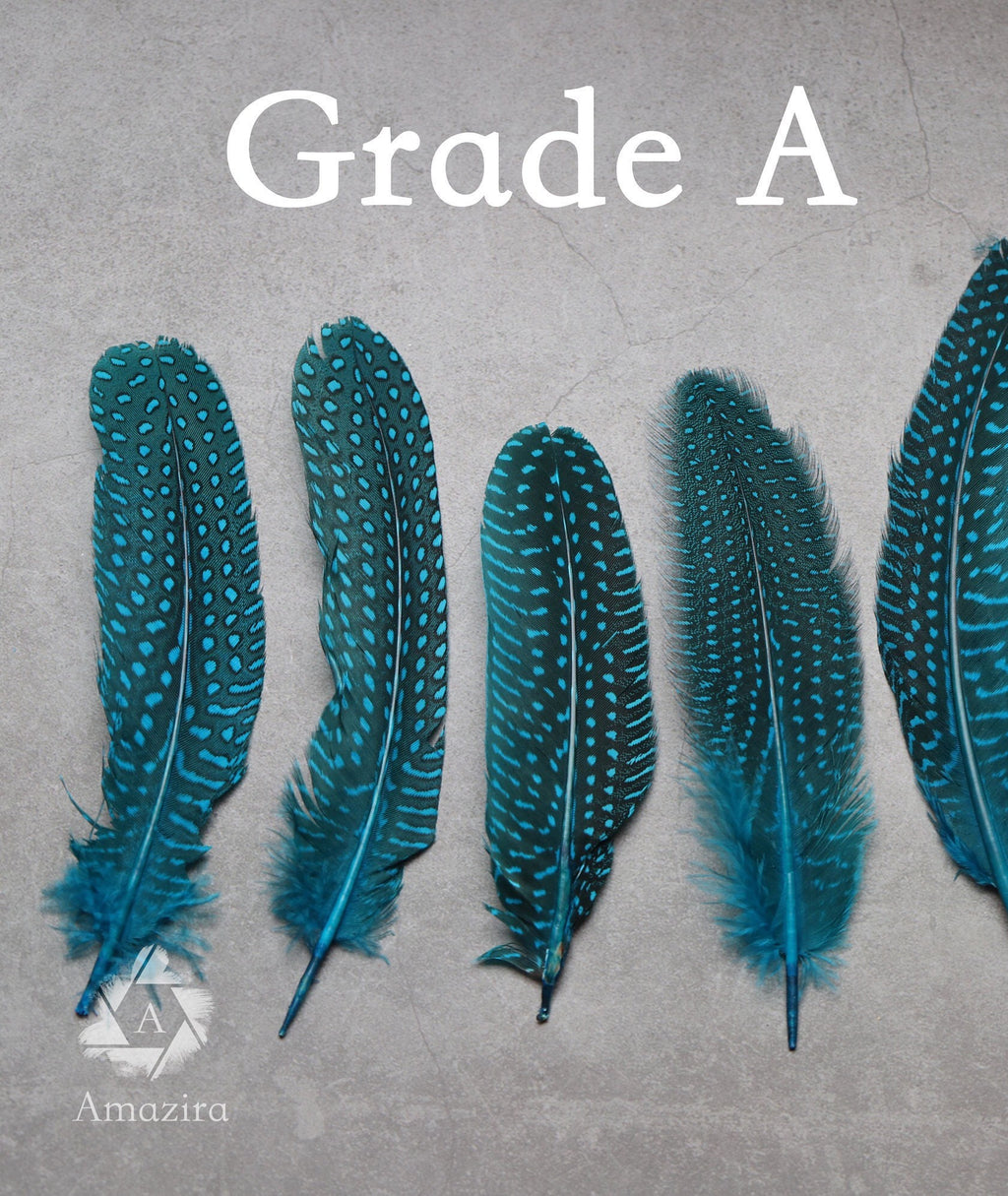 10 PACK CLEARANCE!  Unique Large Dyed Blue dot Guinea fowl Feathers, 6-8 inches, Real loose colourful turquoise feathers for crafters