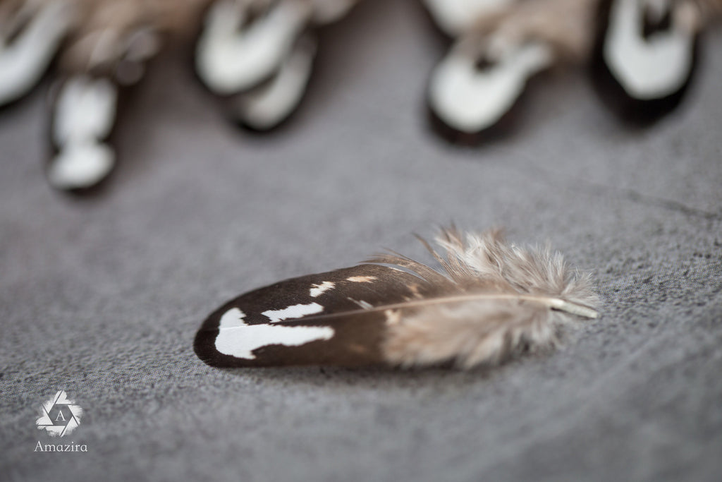Loose natural pheasant feathers, 1 to 4 inches, 3 to 9 cm