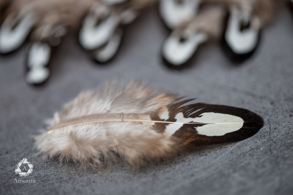 Loose natural pheasant feathers, 1 to 4 inches, 3 to 9 cm