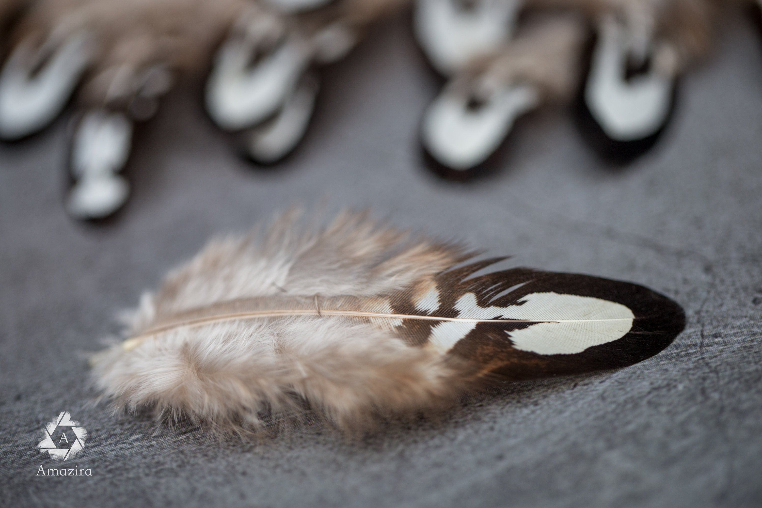 Loose natural pheasant feathers, 1 to 4 inches, 3 to 9 cm
