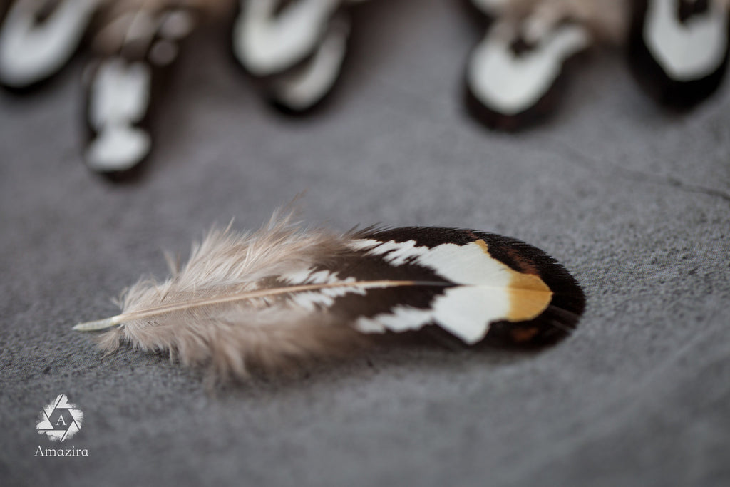 Loose natural pheasant feathers, 1 to 4 inches, 3 to 9 cm