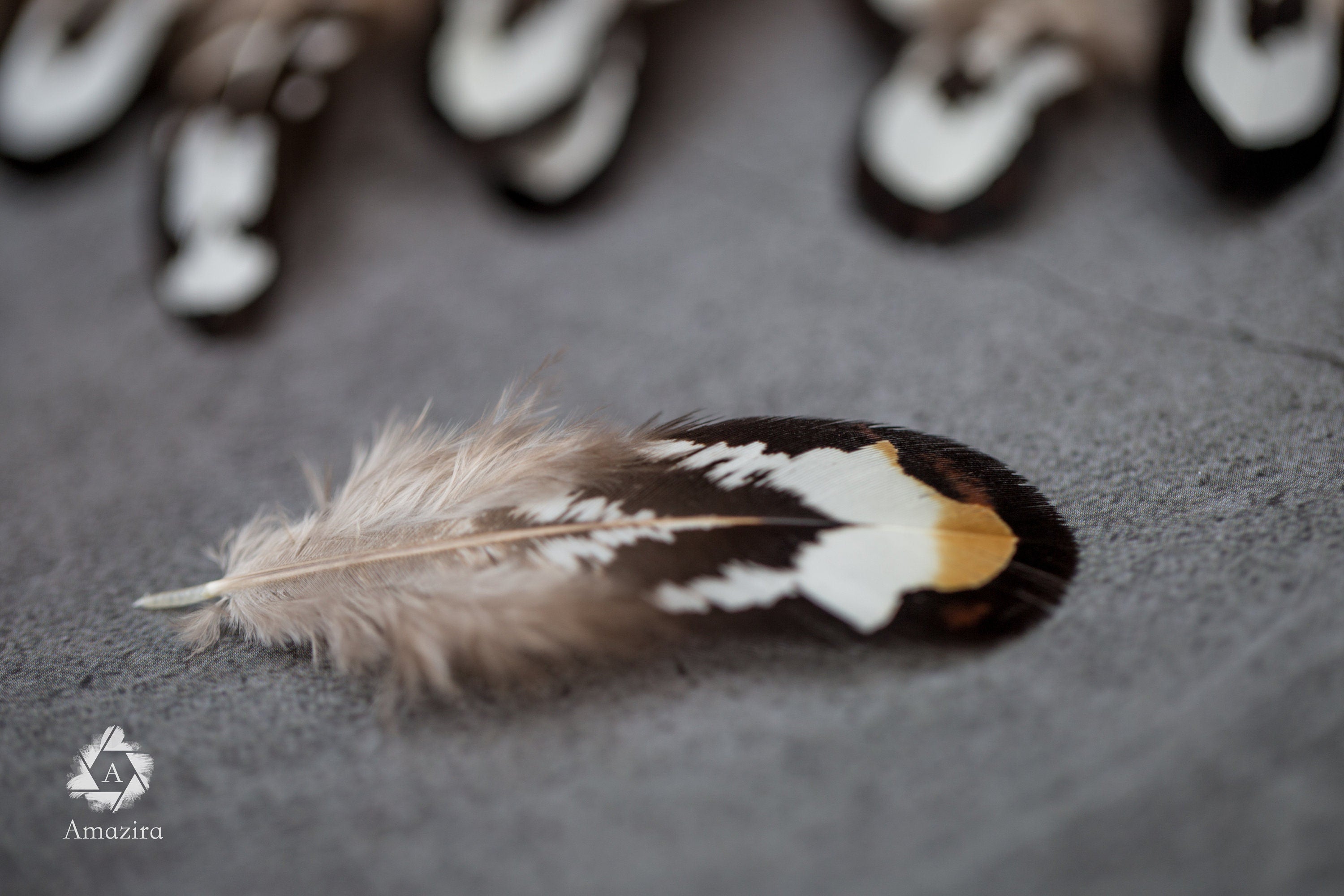Loose natural pheasant feathers, 1 to 4 inches, 3 to 9 cm