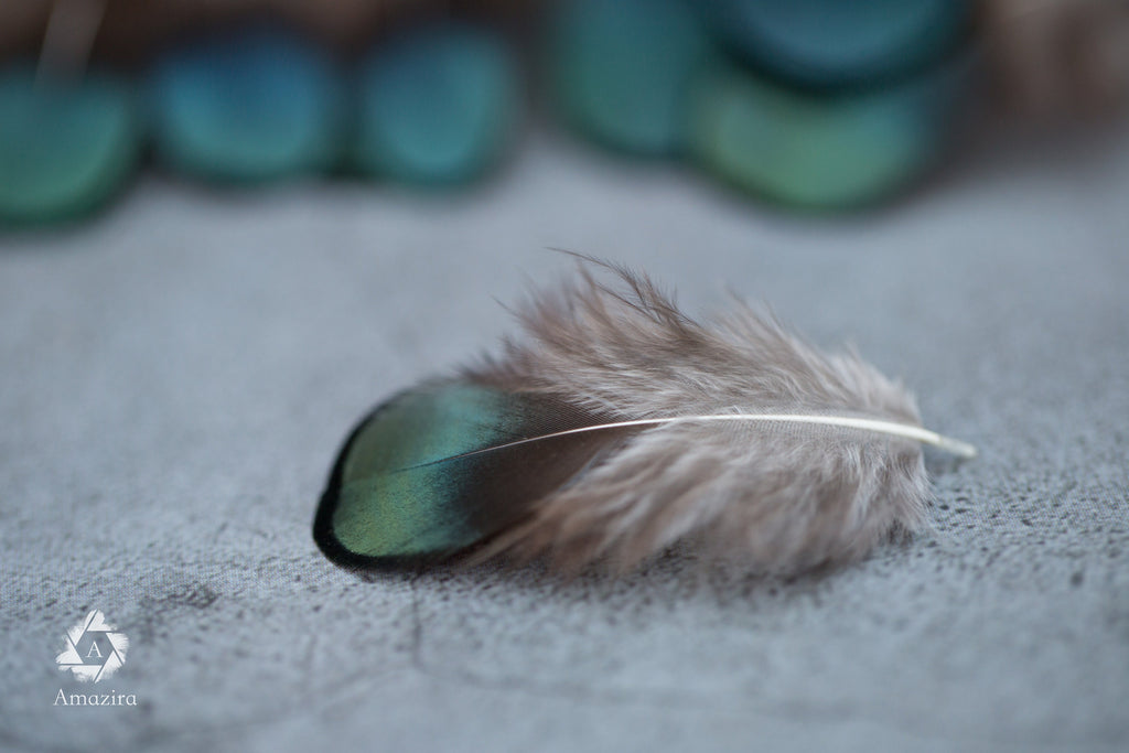 Natural Green Iridescent Pheasant feathers