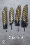 Gold painted pattern black feathers, 17-20 cm, 6-8 inches